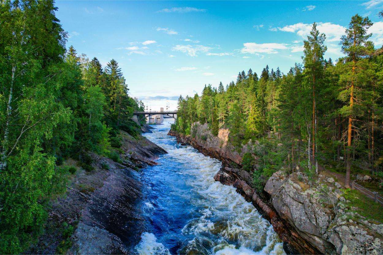 Scenic river rapids flowing through forested area